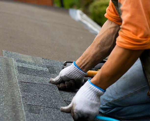 Gutter Installation and Roofing in Pea Ridge, WV