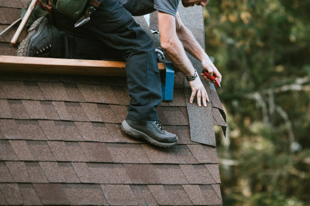 Best Roof Repair Services  in Pea Ridge, WV